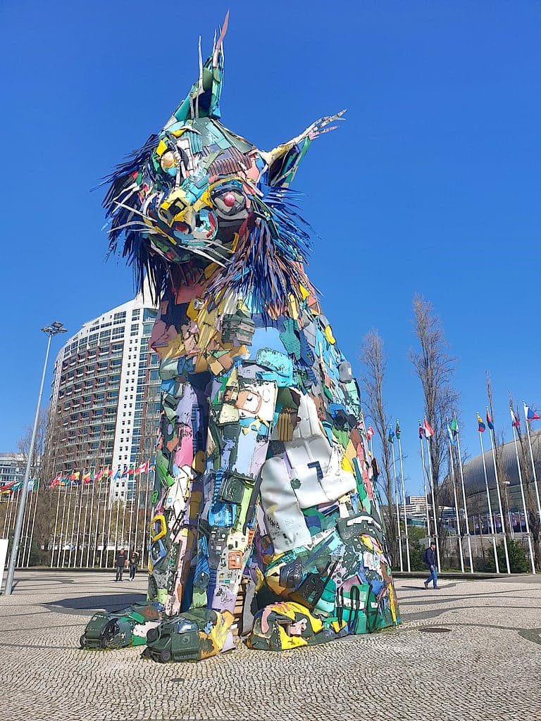 Lince Iberico - Bordalo II