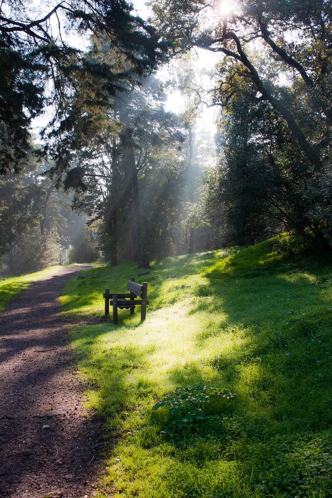 Parque Florestal De Monsanto