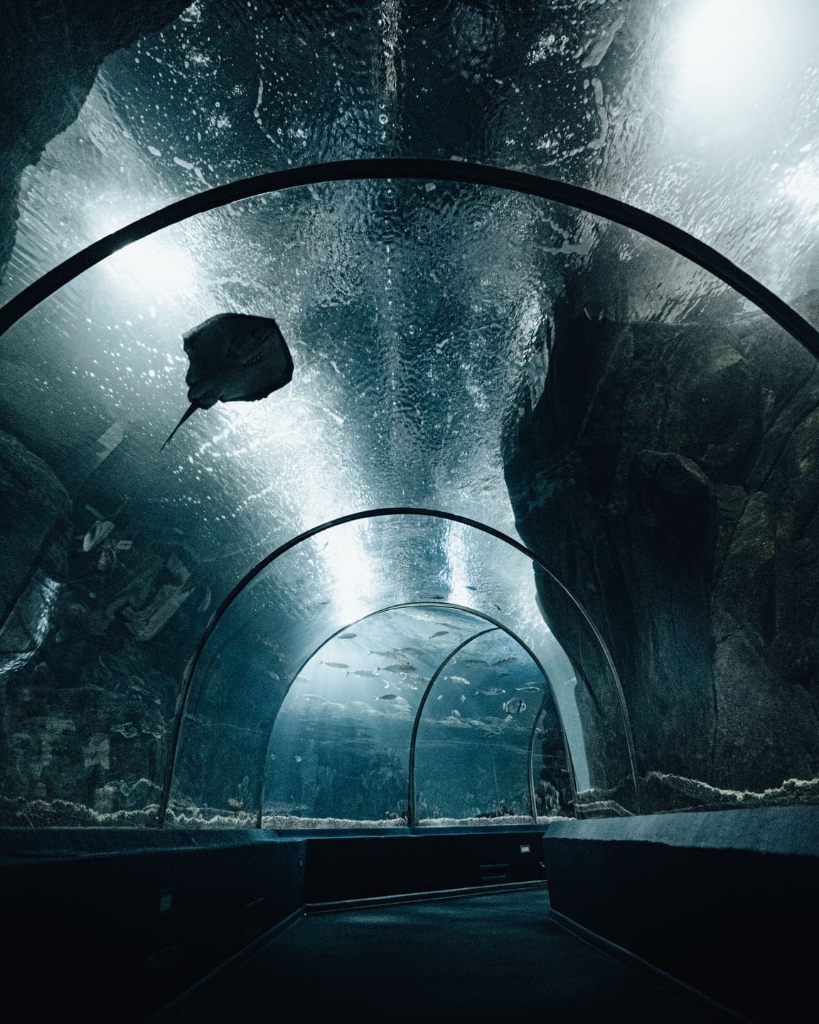 Lost World Aquarium at Aquaventure World
