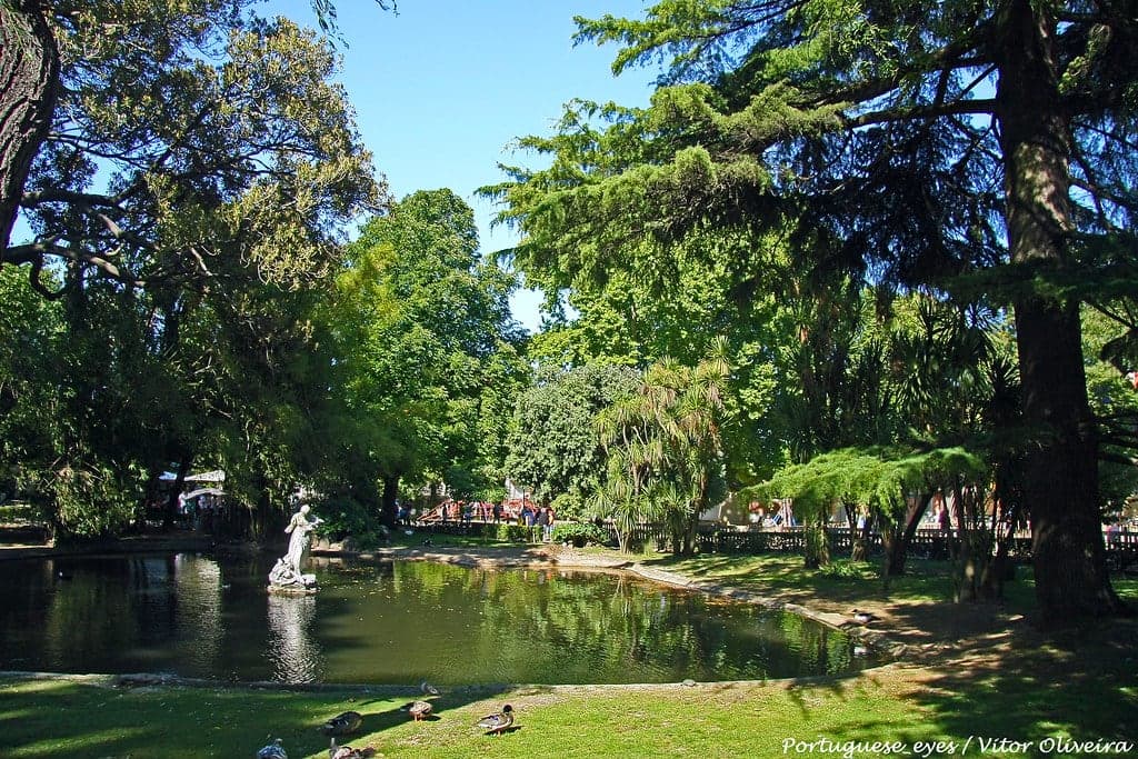 Explore Estrela